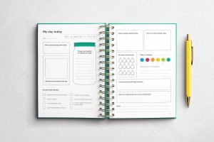 Healthy Habits Journal Product